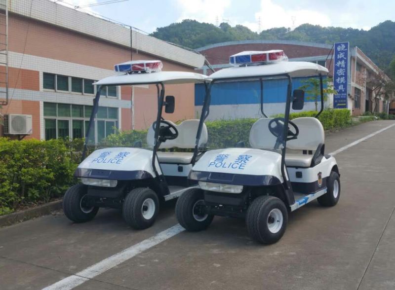 2座電動(dòng)巡邏車(chē)