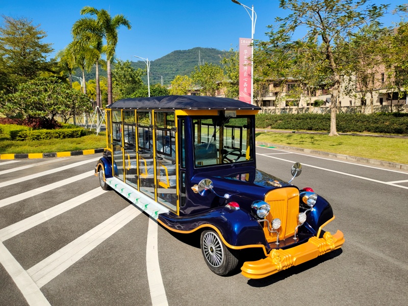 11座維羅納款封閉老爺車(chē)